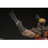 Teloniera Wolverine Brown Costume Premium Formato Premium