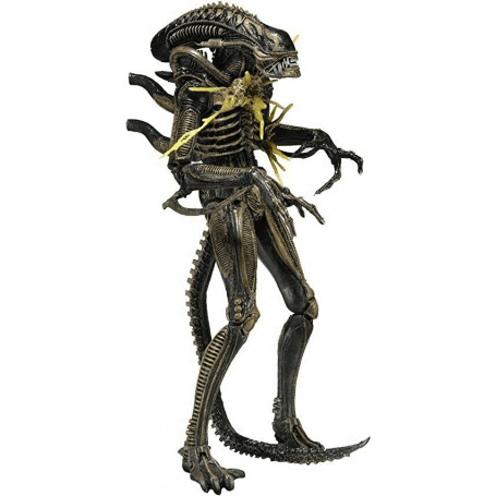 NECA ALIENS - Marrone Xenomorfo Guerriero Xenomorfo da battaglia danneggiato Serie 12