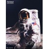 Blitzway - Astronauta Apollo 11: LM-5 A7L ver. 1/4 - Hybrid Superb Scale