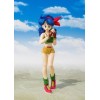 Bandai Tamashii - DRAGON BALL - Pranzo - SHF SHFiguarts