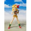 Bandai Tamashii - DRAGON BALL - Pranzo - SHF SHFiguarts