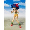 Bandai Tamashii - DRAGON BALL - Pranzo - SHF SHFiguarts