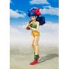 Bandai Tamashii - DRAGON BALL - Pranzo - SHF SHFiguarts