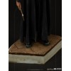 Iron Studios - Harry Potter - Ron Weasley BDS Art Scale 1/10