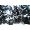 Pure Arts - Dragonborn Standard Edition - The Elder Scrolls V Skyrim figura 1/6