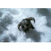 Pure Arts - Dragonborn Standard Edition - The Elder Scrolls V Skyrim figura 1/6
