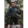 Hot Toys Marvel - Winter Soldier 1/6 - Il Falcon e il Soldato d'Inverno