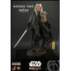 Hot Toys Star Wars - Ahsoka Tano & Grogu- Il mandaloriano 1/6