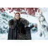 Tre zero - Game of Thrones Action Figure 1/6 Sansa Stark Stagione 8