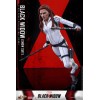 Hot Toys Vedova Nera Tuta da Neve Versione Capolavoro 1/6