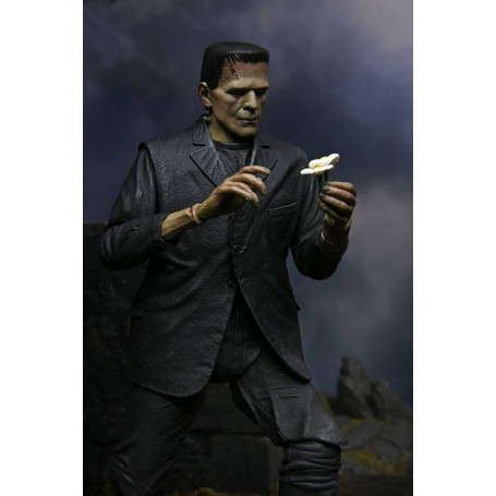 NECA - Ultimate Frankenstein's Monster versione a colori - Mostri universali