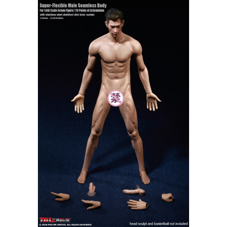 Phicen - TBLeague 1/6th Scale Super-Flexible Male Seamless Body - Medium Muscle Tan Body 
