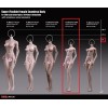 Phicen - TBLeague 1/6 Scale Female Super-Flexible Seamless Body - Small Pale Medium Cups