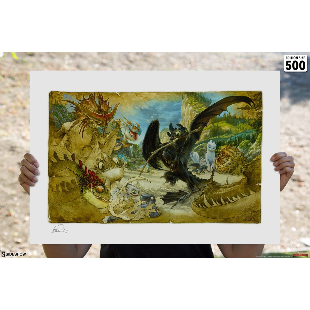 Come addestrare il tuo drago: Come disegnare il tuo drago - Stampa d'arte di Heather Edwards - 46 x 61 cm - senza cornice