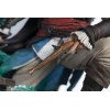 Pure Arts - Edward Kenway 1/4 Animus - statuetta di Assassin's Creed