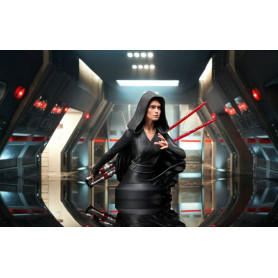 Gentle Giant - Star Wars Episodio IX - busto Darth Rey 1/6 - esclusiva NYCC 2021