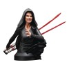 Gentle Giant - Star Wars Episodio IX - busto Darth Rey 1/6 - esclusiva NYCC 2021
