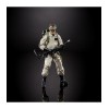 Hasbro Ghostbusters - Plasma Serie 1 Ghostbusters - Ray Stantz