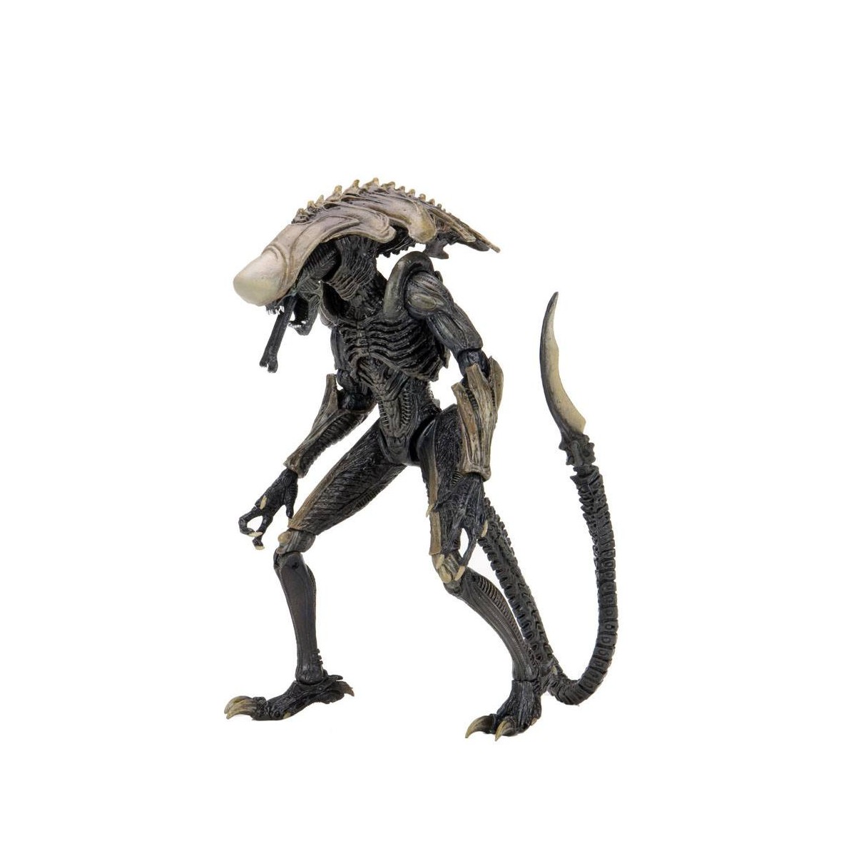 Neca Alien vs Predator - Alien Realistic Appearance - Set completo di 3 figure