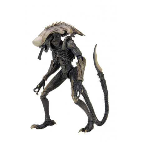 Neca Alien vs Predator - Alien Realistic Appearance - Set completo di 3 figure