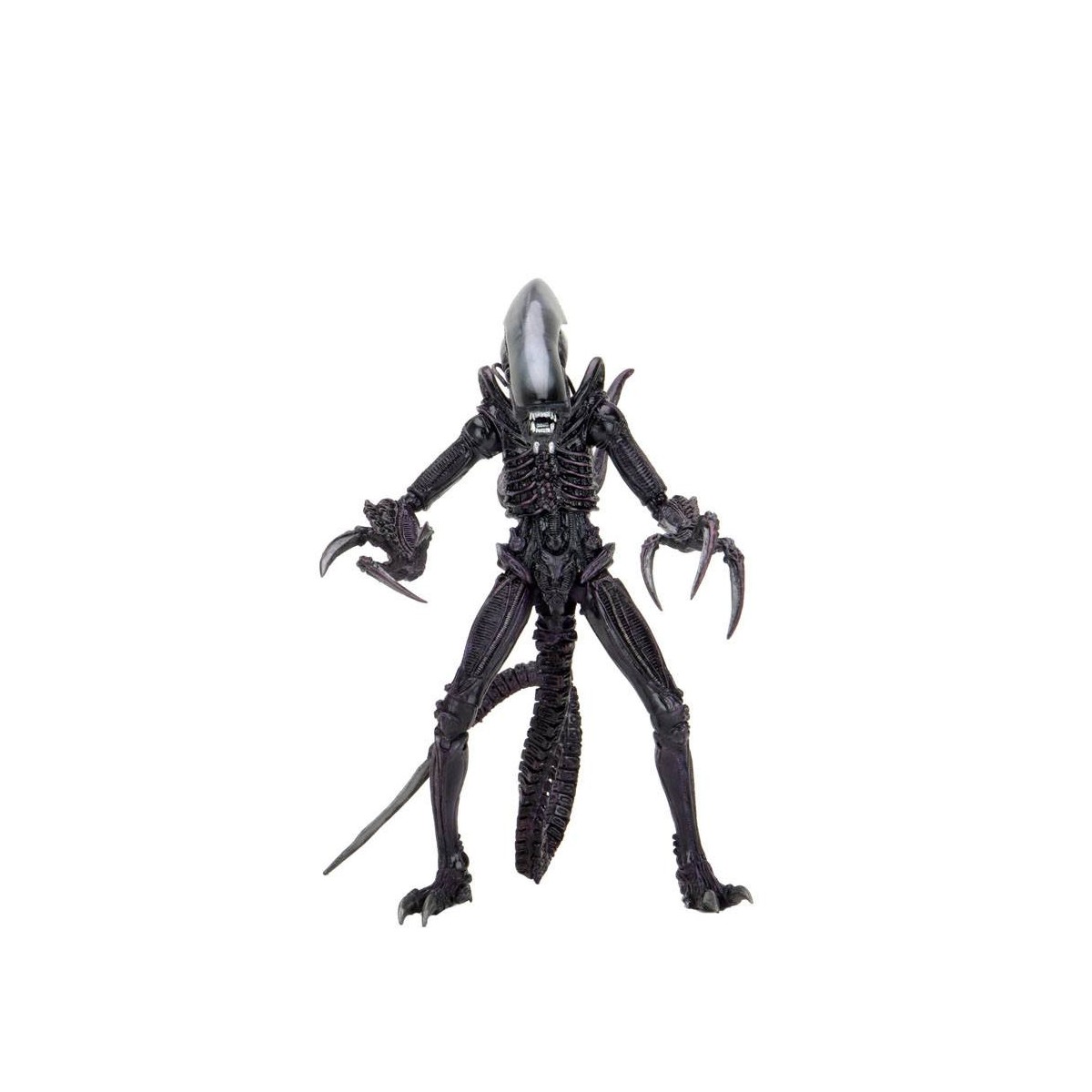 Neca Alien vs Predator - Alien Realistic Appearance - Set completo di 3 figure