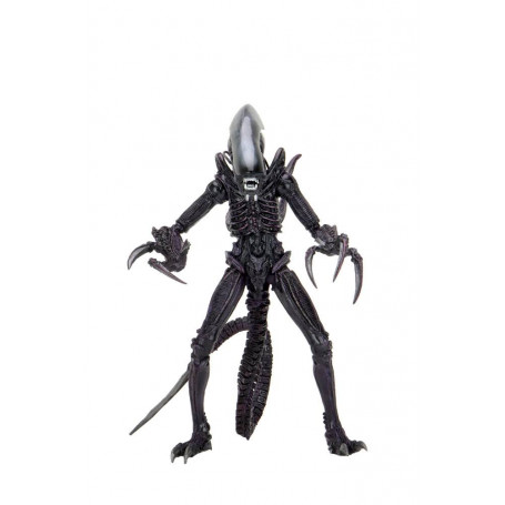 Neca Alien vs Predator - Alien Realistic Appearance - Set completo di 3 figure