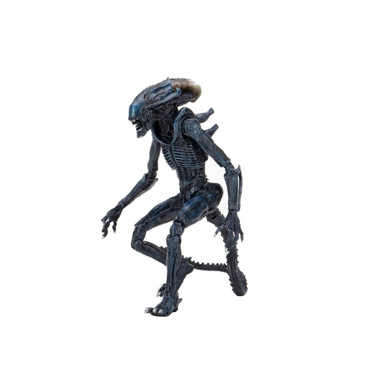 Neca Alien vs Predator - Alien Realistic Appearance - Set completo di 3 figure