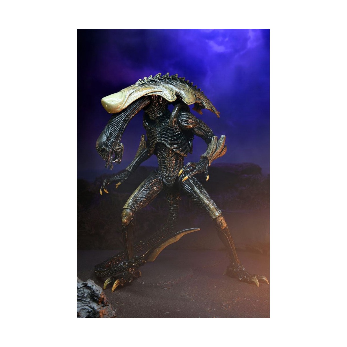 Neca Alien vs Predator - Alien Realistic Appearance - Set completo di 3 figure