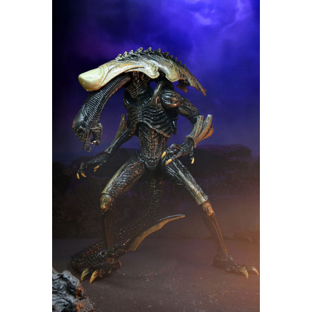 Neca Alien vs Predator - Alien Realistic Appearance - Set completo di 3 figure