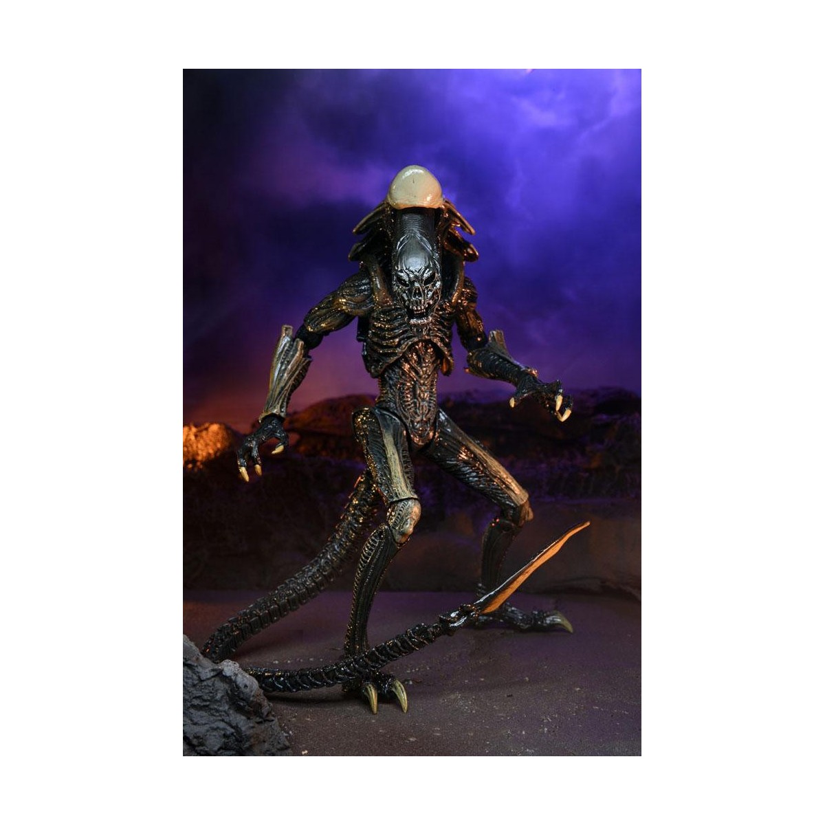 Neca Alien vs Predator - Alien Realistic Appearance - Set completo di 3 figure