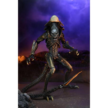 Neca Alien vs Predator - Alien Realistic Appearance - Set completo di 3 figure