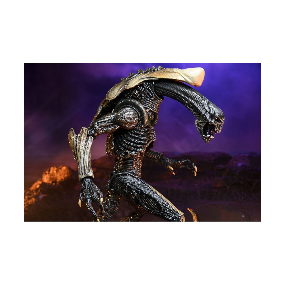 Neca Alien vs Predator - Alien Realistic Appearance - Set completo di 3 figure