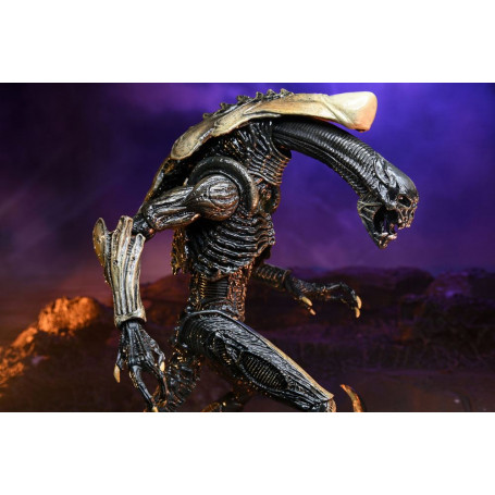 Neca Alien vs Predator - Alien Realistic Appearance - Set completo di 3 figure