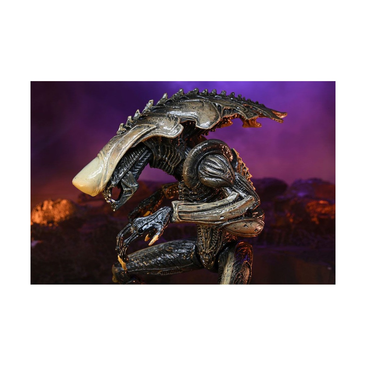 Neca Alien vs Predator - Alien Realistic Appearance - Set completo di 3 figure