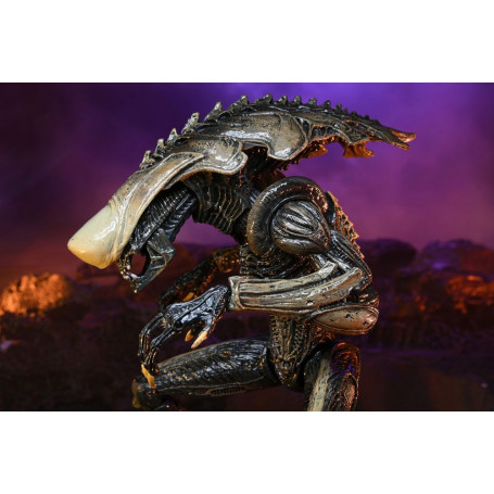 Neca Alien vs Predator - Alien Realistic Appearance - Set completo di 3 figure