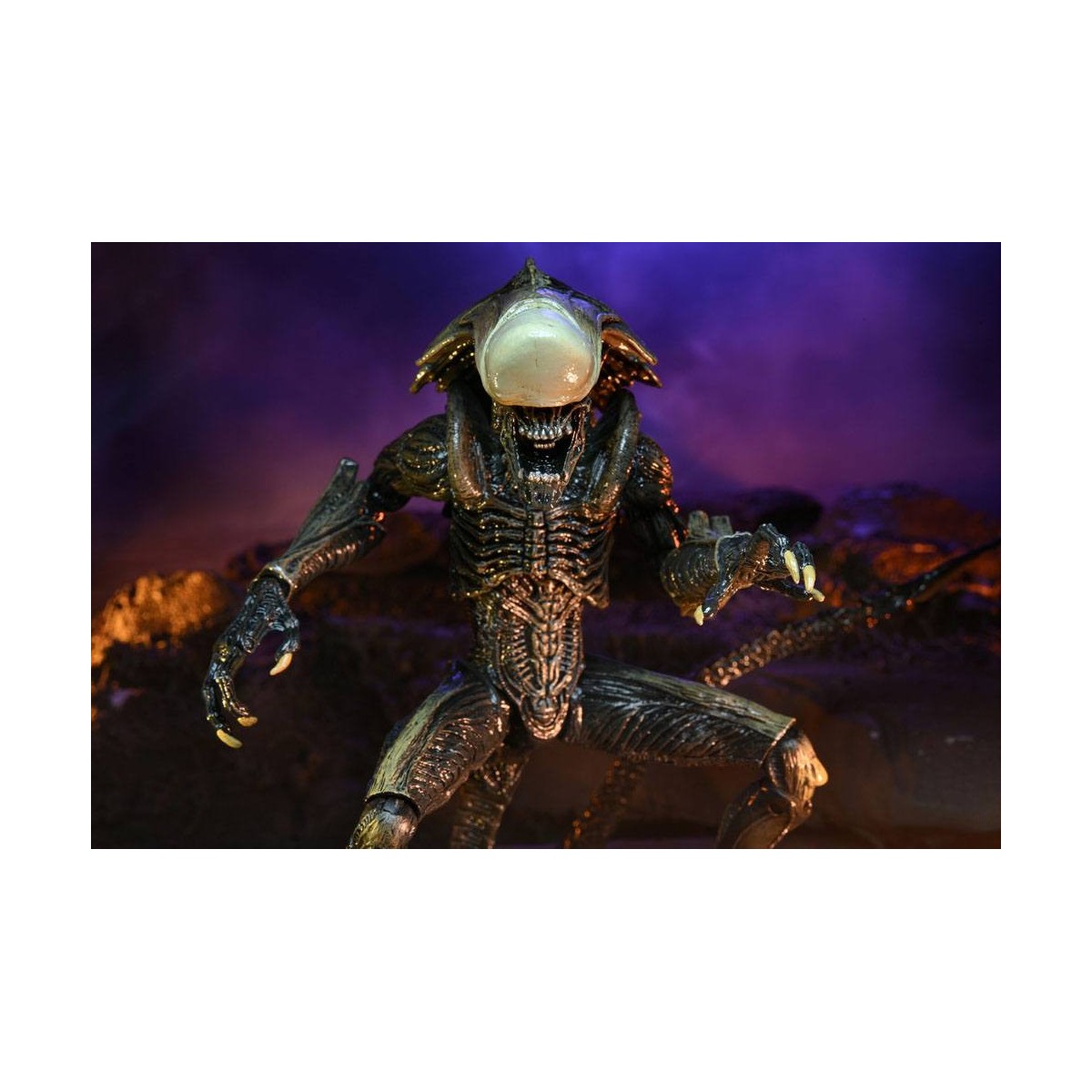 Neca Alien vs Predator - Alien Realistic Appearance - Set completo di 3 figure