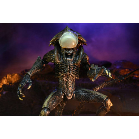 Neca Alien vs Predator - Alien Realistic Appearance - Set completo di 3 figure