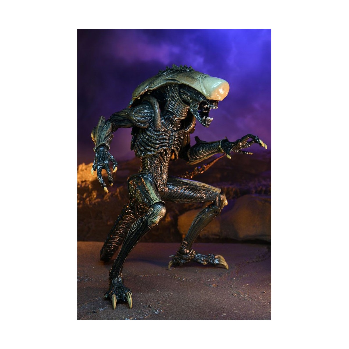 Neca Alien vs Predator - Alien Realistic Appearance - Set completo di 3 figure