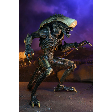 Neca Alien vs Predator - Alien Realistic Appearance - Set completo di 3 figure