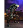 Neca Alien vs Predator - Alien Realistic Appearance - Set completo di 3 figure
