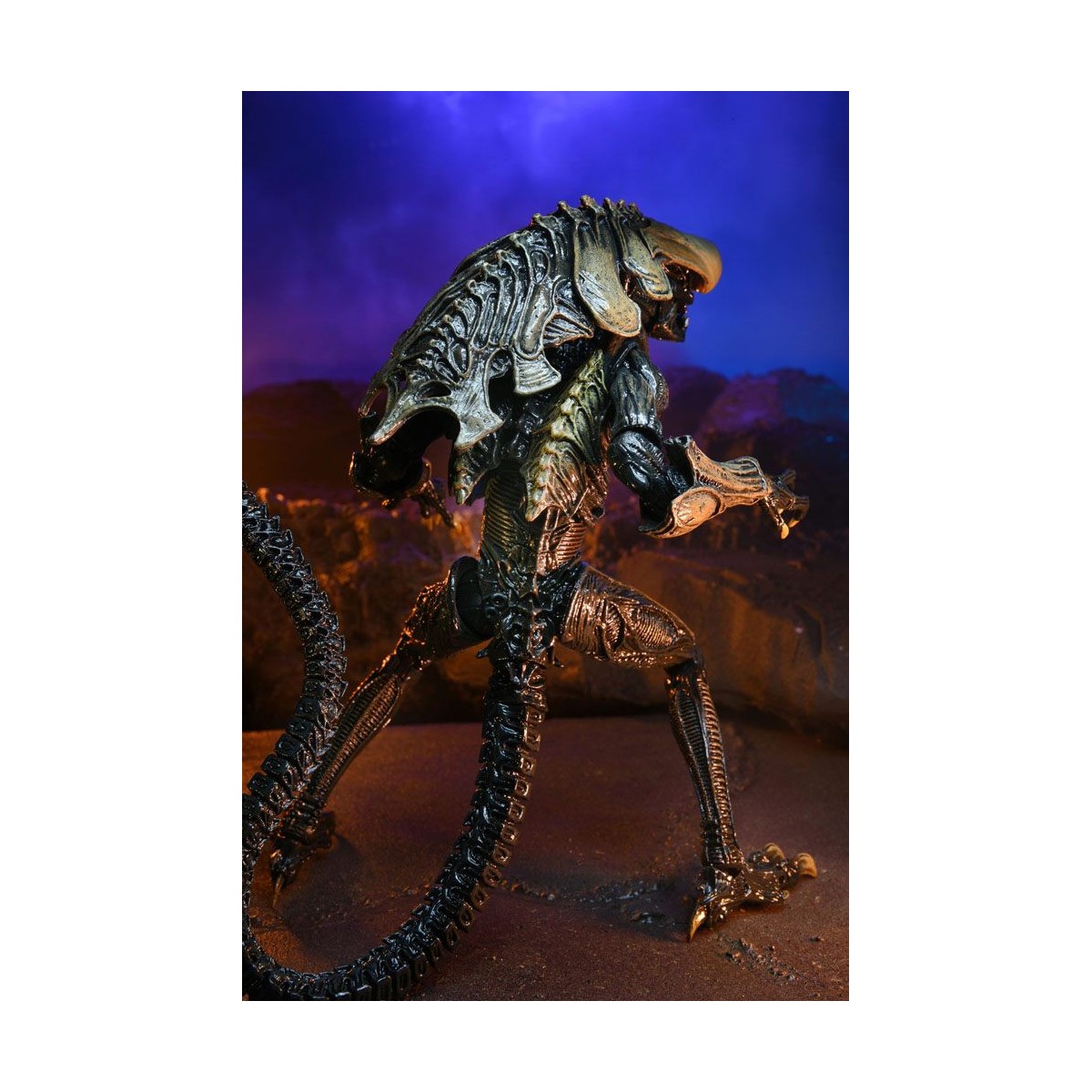 Neca Alien vs Predator - Alien Realistic Appearance - Set completo di 3 figure