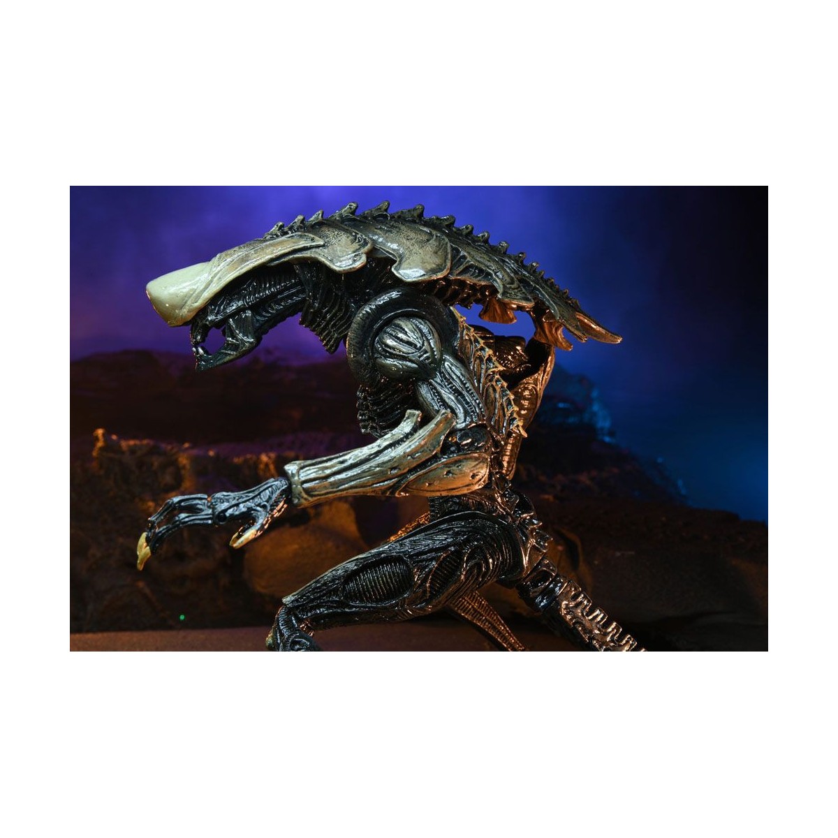 Neca Alien vs Predator - Alien Realistic Appearance - Set completo di 3 figure
