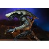 Neca Alien vs Predator - Alien Realistic Appearance - Set completo di 3 figure