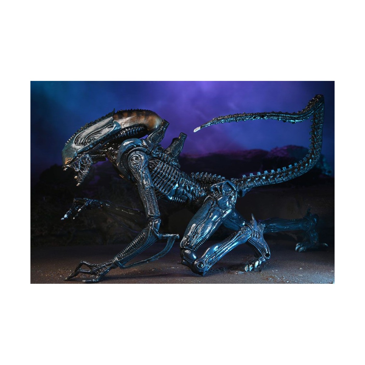 Neca Alien vs Predator - Alien Realistic Appearance - Set completo di 3 figure