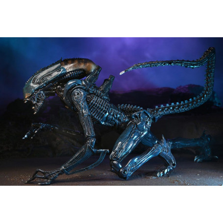 Neca Alien vs Predator - Alien Realistic Appearance - Set completo di 3 figure