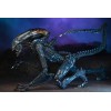 Neca Alien vs Predator - Alien Realistic Appearance - Set completo di 3 figure