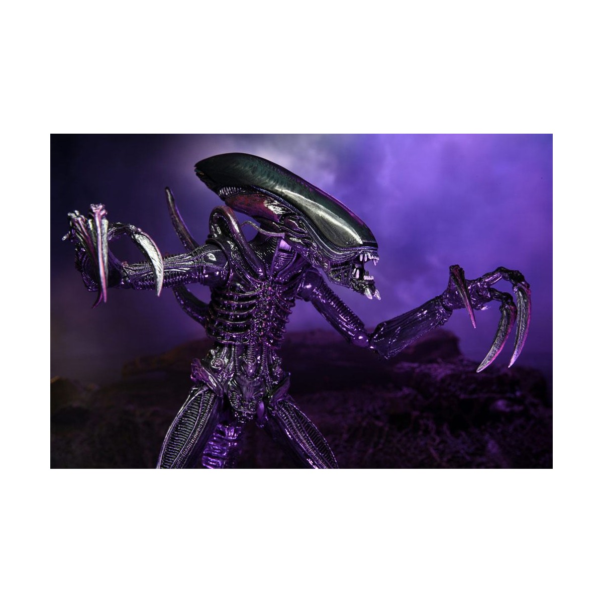 Neca Alien vs Predator - Alien Realistic Appearance - Set completo di 3 figure