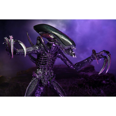 Neca Alien vs Predator - Alien Realistic Appearance - Set completo di 3 figure