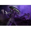 Neca Alien vs Predator - Alien Realistic Appearance - Set completo di 3 figure