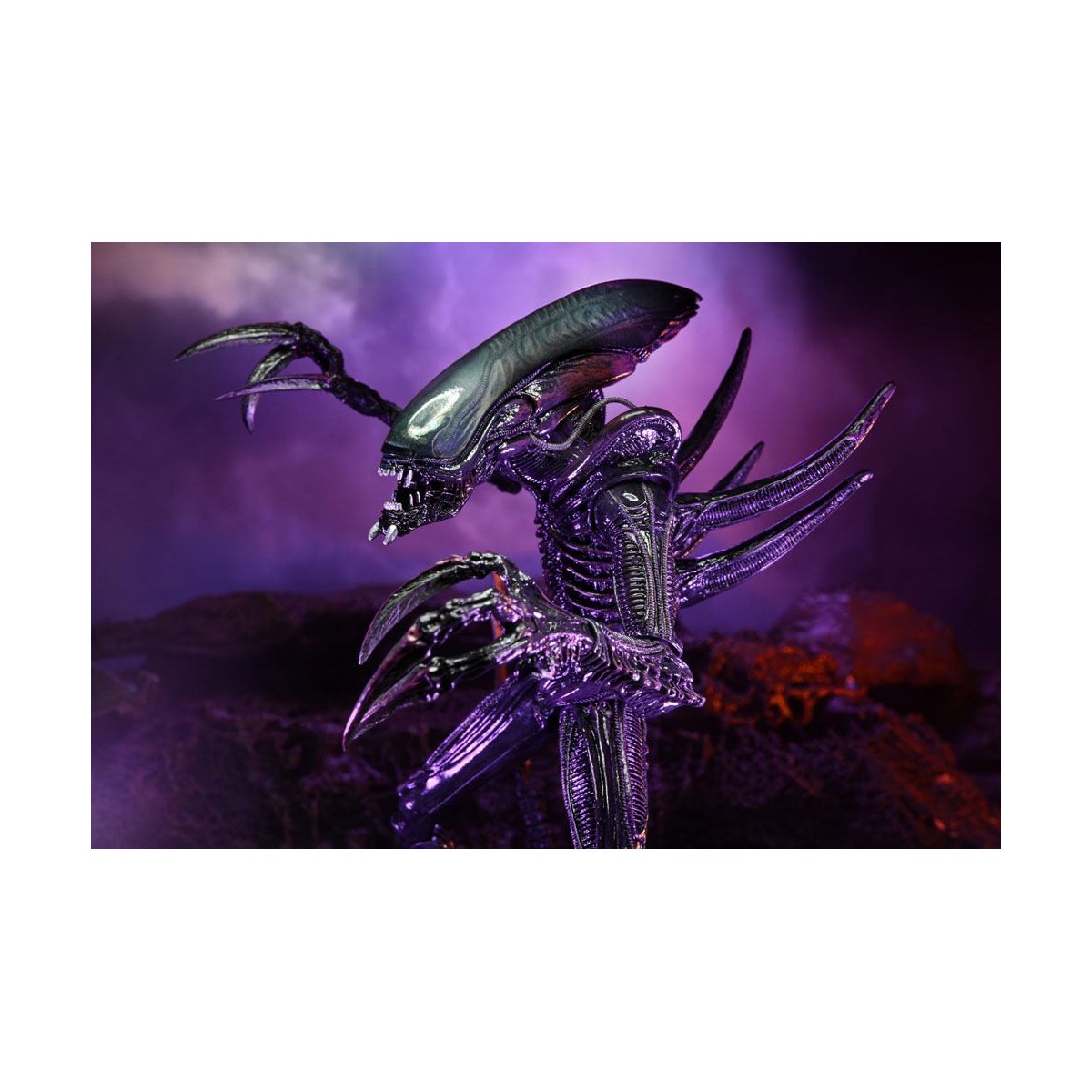 Neca Alien vs Predator - Alien Realistic Appearance - Set completo di 3 figure